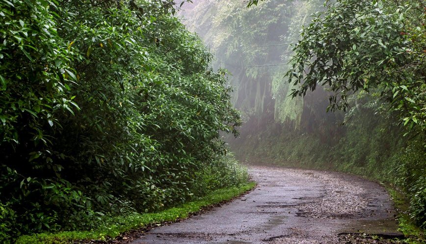 Neora Valley National Park, Kalimpong, West Bengal - Vushii.com